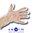 Dieselhandschuhe Tankhandschuhe PE Handschuhe HDPE transparent im Beutel oder Spenderbox